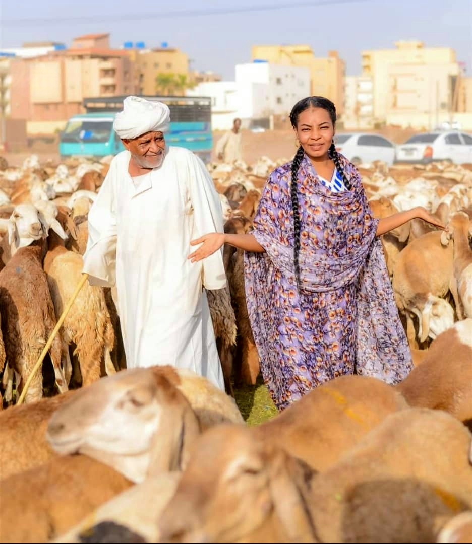 انتقال الماشية.. الأمراض والتغول على المراعي.. المخاوف الدائمة انتقال الماشية.. الأمراض والتغول على المراعي.. المخاوف الدائمة