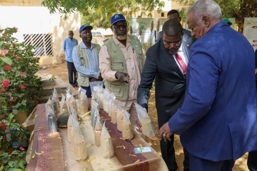 عضو بالسيادي: مشكلتان عانى منهما السودان منذ الاستقلال.. تعرف عليهما