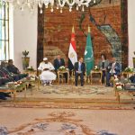 مصر تستعد لاستضافة قمة دول جوار السودان*