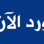شوقي بدري يكتب _قطع الرؤوس ليست بالرياضة الجديدة للجيش السوداني
