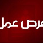 شركة قطر للطاقة تطرح عدد من الوظائف لأكثر من 12 تخصص والتقديم اون لاين