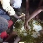 يعتمد المواطنين على صفق الأشجار وجذورها كوجبات رئيسية