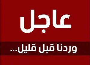 لقي ثلاثة مزارعين حتفهم ونجاة 7 آخرين بولاية القضارف…تفاصيل