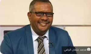 محمد عثمان يكتب… مجلس السيادة السوداني… وتصنيف الصحفيين