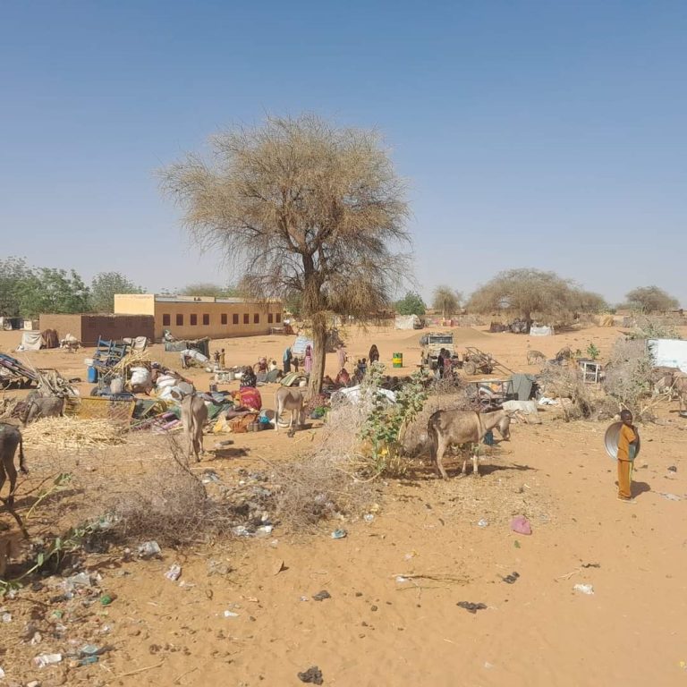 إحصائية صادمة لأعداد الفارين من الحرب في السودان