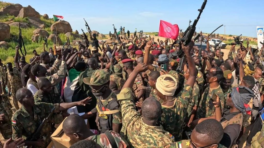 تحرير الجزيرة يقترب.. وزير الدفاع السوداني يكشف عن عمليات جديدة للجيش