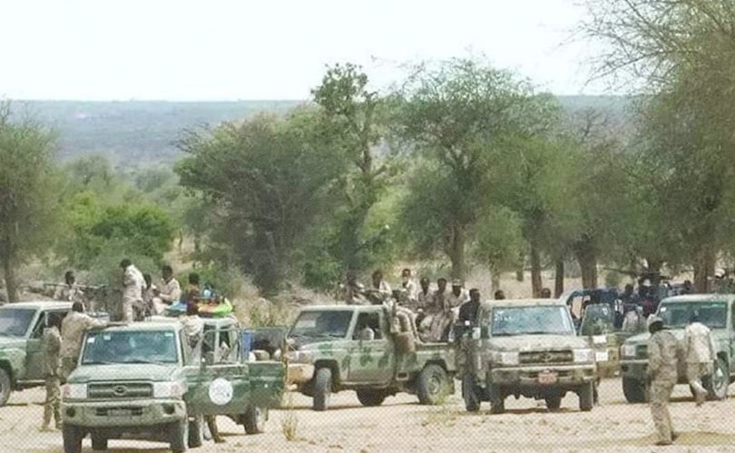 الحكومة السودانية تواجه مطالبات دولية بشأن ولاية شمال دارفور