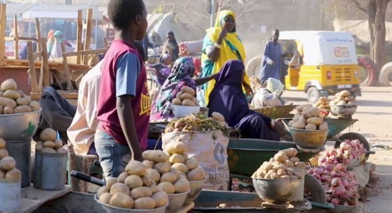 توترات أمنية في جنوب السودان تهدد سوق النعام الحدودي 