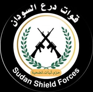 عاجل:مسيرات الدعم السريع تستهدف معسكر كيكل ومقتل 7اشخاص