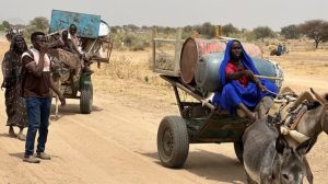 خبراء أمميون : يدينون العنف الجنسي “الممنهج” في السودان