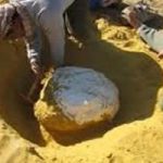 حلم الثراء السريع ينتهي بالموت.. مأساة شباب لقوا حتفهم 