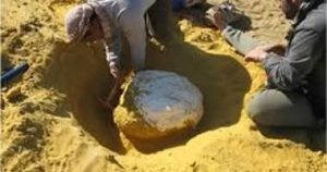 حلم الثراء السريع ينتهي بالموت.. مأساة شباب لقوا حتفهم 