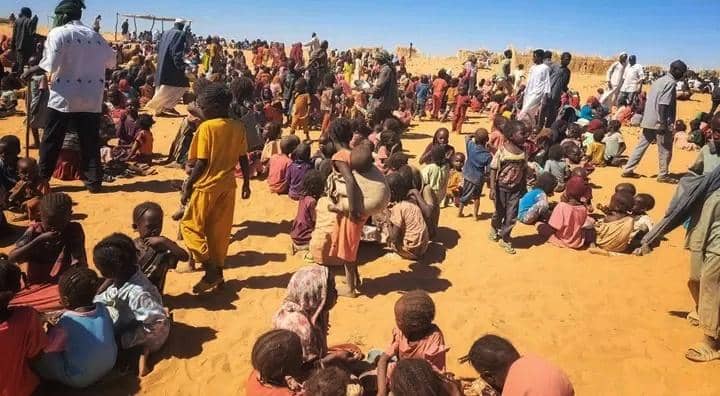 دارفور تشهد تدهور الأوضاع الإنسانية دارفور تشهد تدهور الأوضاع الإنسانية