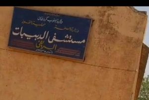 الدبيبات – شاهد بالفيديو قوات الدعم السريع داخل المدينة