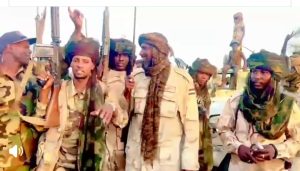الدعم السريع يستولي على 36 عربة قتالية في النيل الأزرق