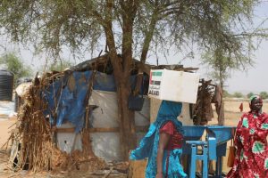 الإمارات تنفذ مبادرة إنسانية وسط السودانيين بدولة مجاورة